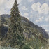 Rudolf von Alt, Die alte Fichte in Bad Gastein, 1899 © Leopold Museum, Wien, Inv. Nr. 3645