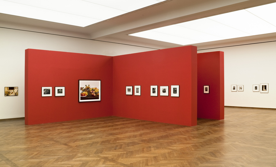 Exhibition View © Leopold Museum / Fritz Simak