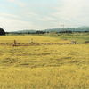 Ichikawa Katsuhiro, Rice harvest, from the series »Fukushima«, 1998-2006« © Property Katsuhiro Ichikawa