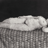 HENRIETTE MOOS, Oskar Kokoschka’s Alma doll as Venus, 1919 © Private Collection, Courtesy Richard Nagy Ltd., London
