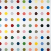 DAMIEN HIRST, AMMONIUM BIBORATE, 1993 © Courtesy Heidi Horten Collection © Damien Hirst