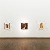 Ausstellungsansicht "Egon Schiele, 2018 © Leopold Museum, Wien/Foto: Lisa Rastl
