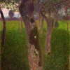 GUSTAV KLIMT | Obstgarten am Abend | 1898 © Privatsammlung/Dauerleihgabe im Leopold Museum, Wien | Foto: Leopold Museum, Wien/Manfred Thumberger