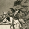 FRANCISCO DE GOYA, The Sleep of Reason Produces Monsters (print 43/80), from the series Los Caprichos, c. 1799 © OÖ Landes-Kultur GmbH, Land Oberösterreich Photo: OÖ Landes-Kultur GmbH, Land Oberösterreich, Grafische Sammlung, Ka II 634