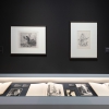 Ausstellungsansichten Alfred Kubin © Leopold Museum, Wien, Foto: Lisa Rastl