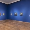 Ausstellungsansicht GABRIELE MÜNTER © Leopold Museum, Wien, 2023 | Foto: Lisa Rastl