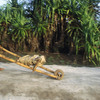 Salahuddin mit seiner Schubstange aus Bambus und Palmholz, Insel Lombok Indonesien © Leopold Museum