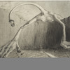 Alfred Kubin, Gefahr, 1901 © Eberhard Spangenberg/VBK, Wien 2009