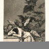 Franciso de Goya, Aus dem Zyklus »Los Caprichos«: Der Schlaf der Vernunft gebiert Ungeheuer (Blatt 43/80), um 1799 © Oberösterreichische Landesmuseen, Sammlung Kastner