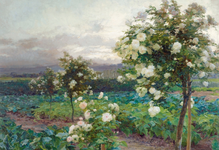 OLGA WISINGER-FLORIAN, Summer‘s Evening (Roses in Full Splendor), 1896 © Leopold Private Collection Photo: Leopold Museum, Vienna/Manfred Thumberger