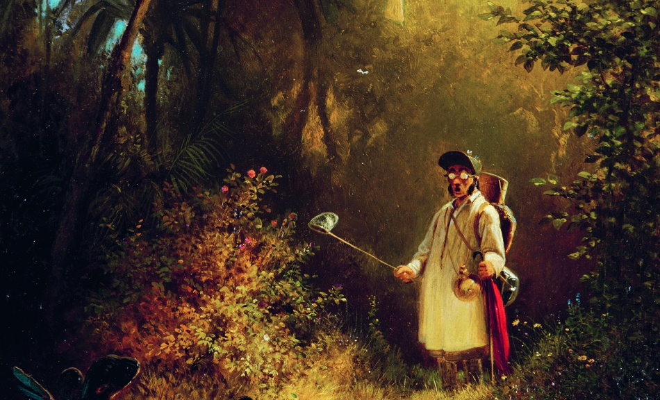 Carl Spitzweg, The Butterfly Hunter, c. 1840 © Museum Wiesbaden, Dauerleihgabe der Bundesrepublik Deutschland | permanent loan of the Federal Republic of Germany Foto | Photo: Museum Wiesbaden