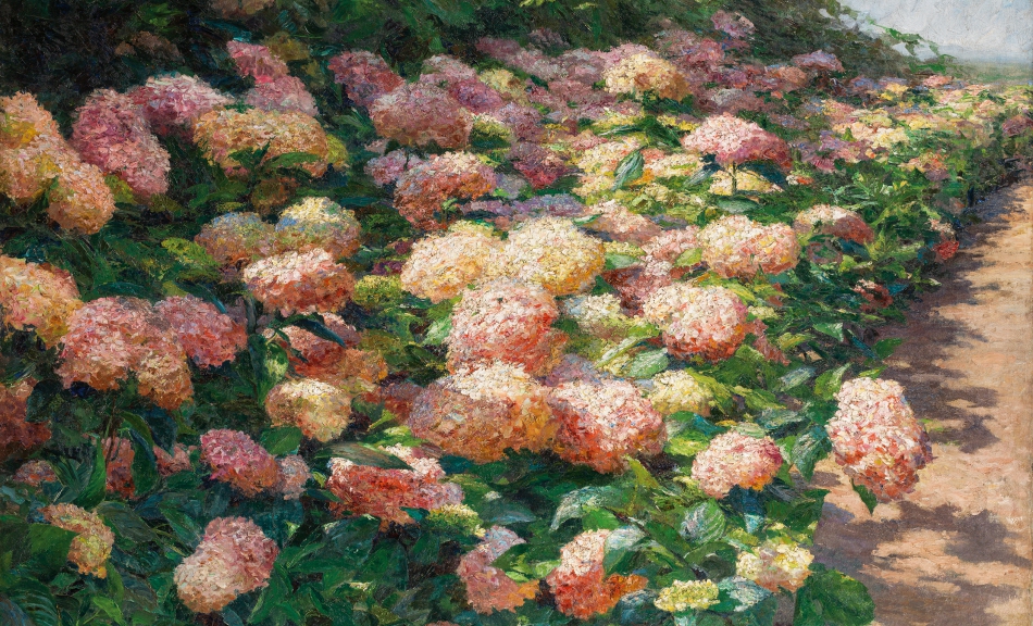 OLGA WISINGER-FLORIAN, Hydrangeas (from Grafenegg), 1901 © Private collection, Vienna Photo: Auktionshaus im Kinsky, Vienna