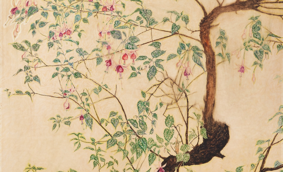 Erwin Dominik Osen, Blooming Fuchsia, n. d. © Private collection, Photo: Leopold Museum, Vienna/Manfred Thumberger