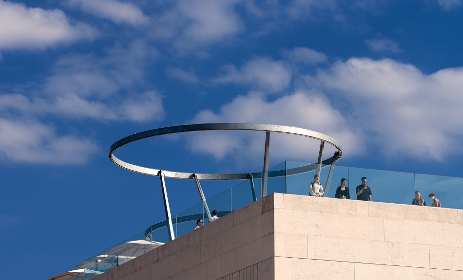 Libelle am Dach des Leopold Museum © Leopold Museum, Wien | Foto: Alexander Eugen-Koller