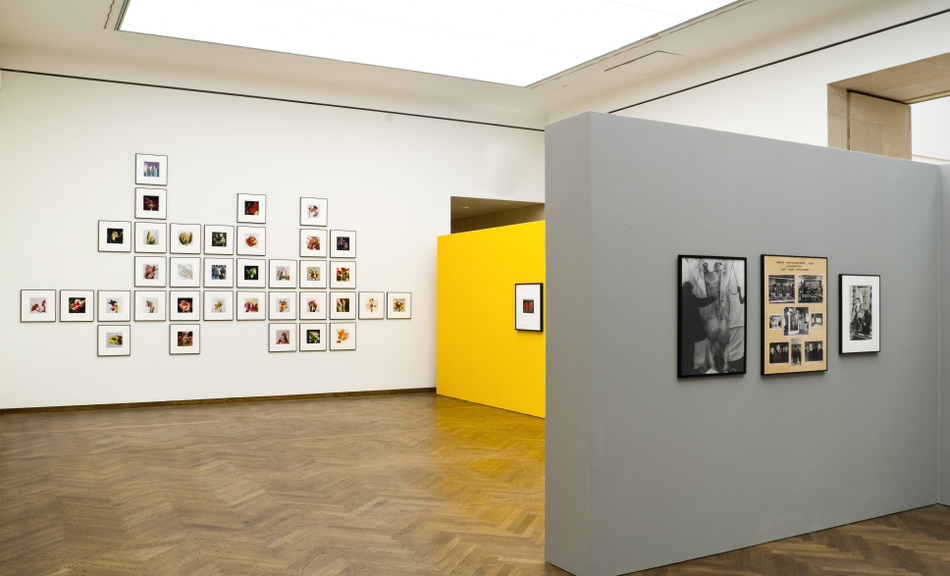 Exhibition View © Leopold Museum / Fritz Simak