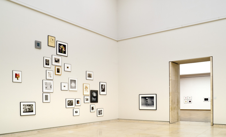 Exhibition View © Leopold Museum / Fritz Simak